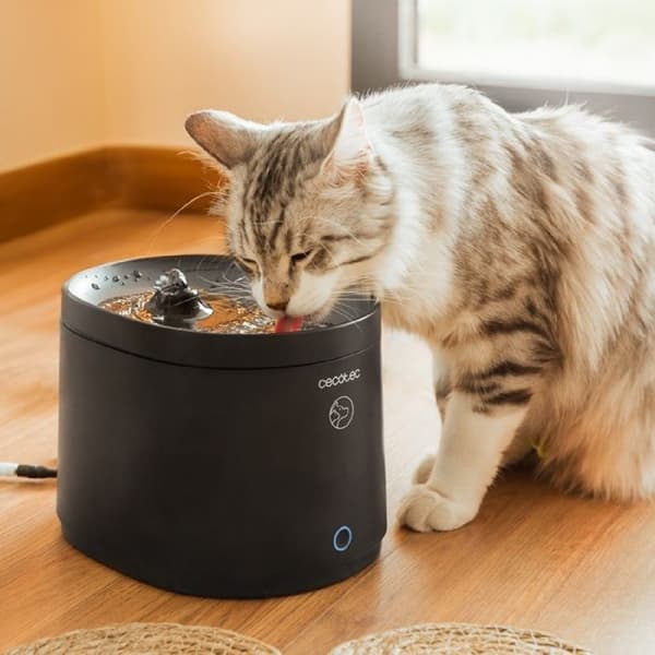 Cecotec Pumba 2500 Refresh Smart-vesiautomaatti