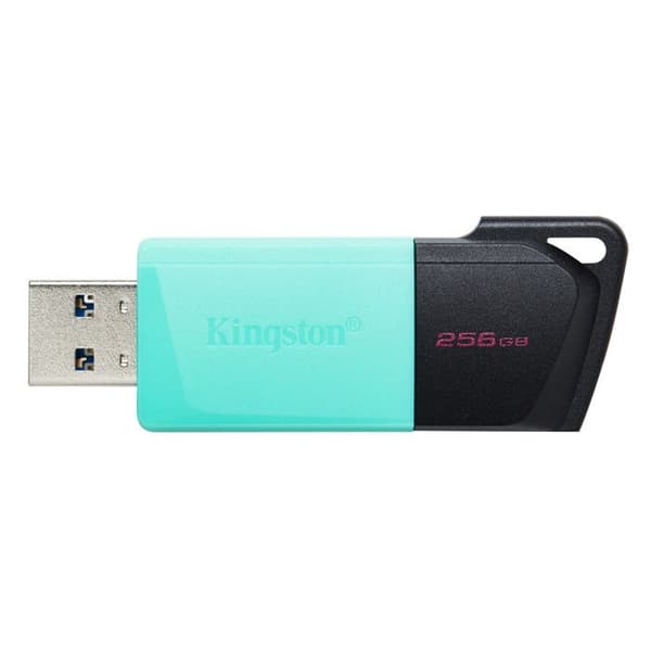 USB-hukommelse - KINGSTON - Dtexodia M Bk - 256 GB - USB 3.2 - Sort