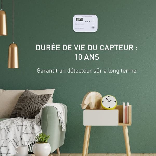 Grundig Kulilte Detektor