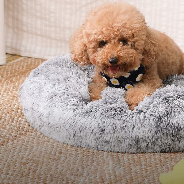Hundsäng - Kattbädd - Grå - 60 x 20 cm