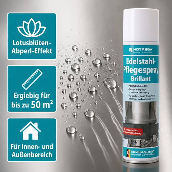 Hotrega Brillant underhållsspray för rostfritt stål 300 ml