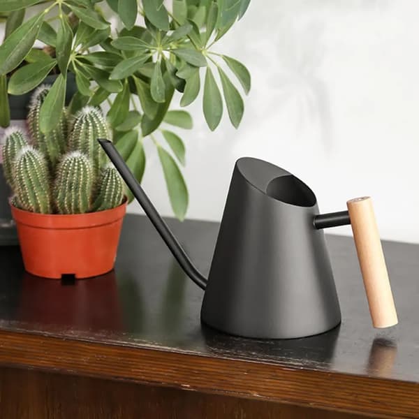 Vandkande - 900 ml - Rustfrit Stål - Ekstra Lang Tud - Ergonomisk Træhank - Sort - Til Stueplanter