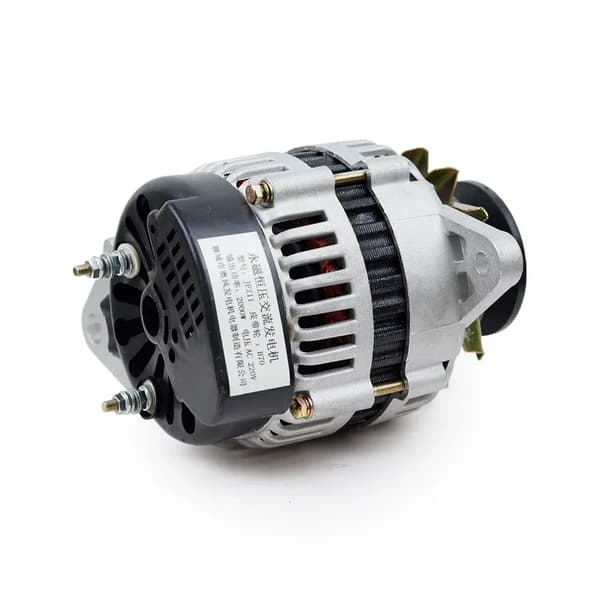Permanentmagnetgenerator - AC borstlös generator - 800 W - 220 V - Konstant spänning - Hög effekt för laddning
