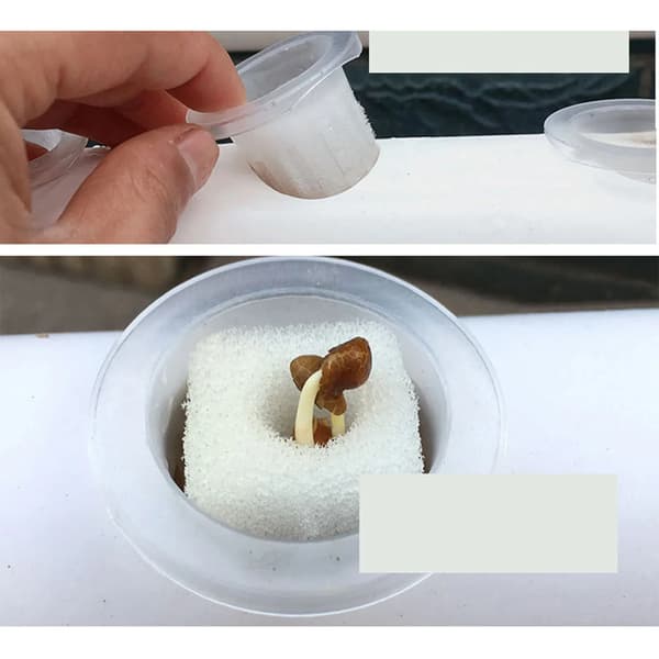 Hydroponiskt odlingskit - 36 hål - Hydroponiskt odlingssystem - Bevattningssystem - Plast - Vit