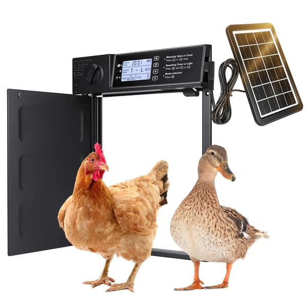Automatisk hönslucka - Solcellsdriven - Aluminium - Timer - Ljussensor - Skydd och larm - Svart
