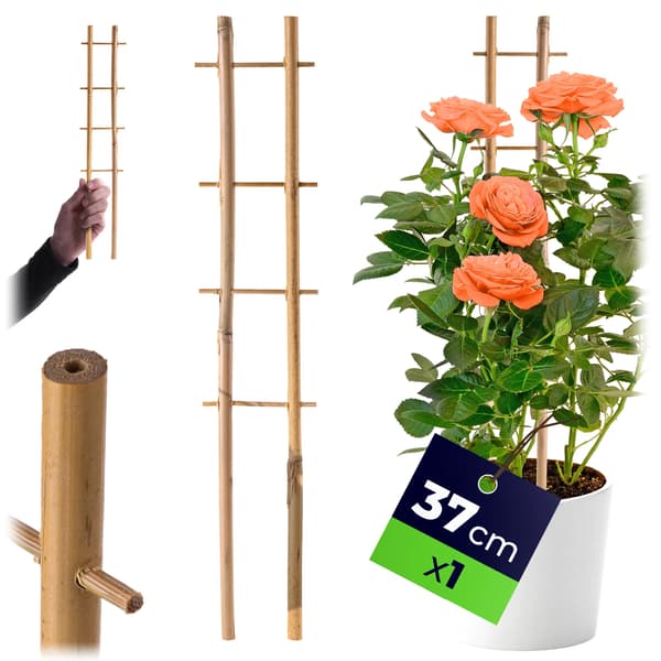 Bambustöd för växter - Stege för blommor - Pergola - 38 cm - Robust