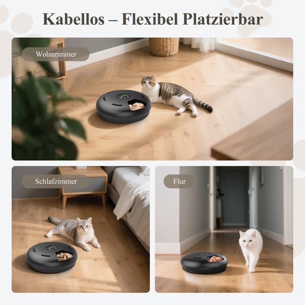 Automatisk kattefoderautomat - Vådfoder - Kølefunktion - 6 måltider - Batteridrevet uden batterier - Sort