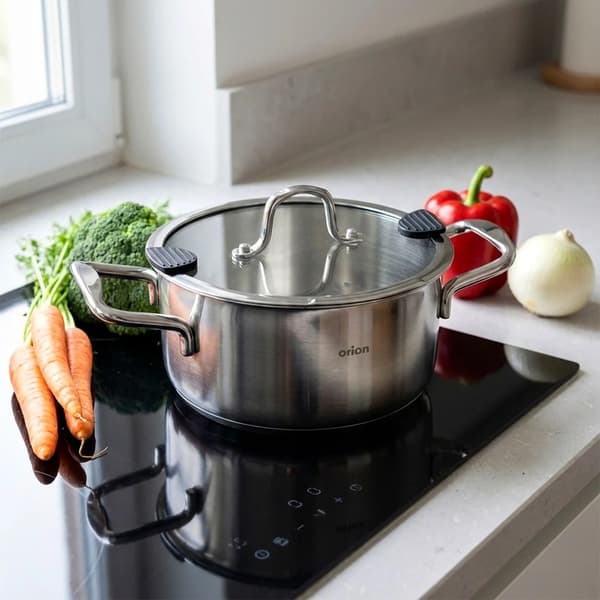 Gryde med Låg - Rustfrit Stål - 20 cm - 3 L