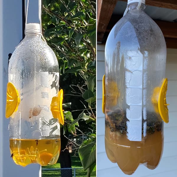 Getingfälla - Återanvändbar Trädgårdsfälla - Blomformad - För Plastflaskor - 5-pack - För Getingar och Flugor