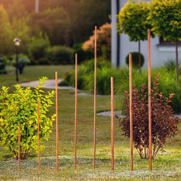 Tomatstöd - Växtstöd i trä - 120 cm