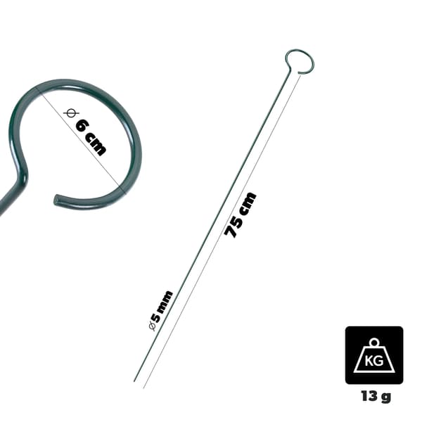 Växtstöd/Blompinne - Ringstöd - 75 cm - Ring Ø 6 cm - Stål - 1 st - Ljusgrön