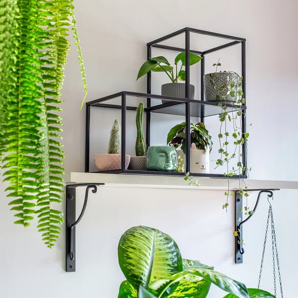 Blomsterstativ - Fritstående metalhylde til planter - Plantestander til krukker og pynt - Sort