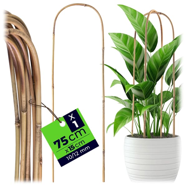 Växtstöd/rankstöd i bambu - Båge - 75 x 15 cm - 1 st