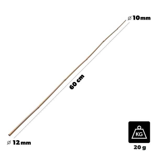 Bambukäppar för växter - Stödpinnar - 60 cm - Ø 10–12 mm - 25-pack