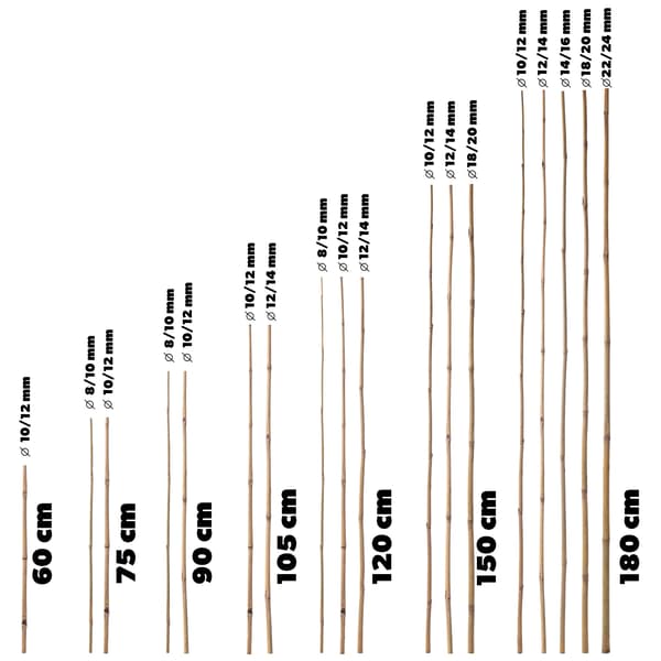 Bambukepit - Kasvitukikepit/Puutarhakepit - 150 cm - Ø 18/20 mm - 50 kpl - Luonnonväri