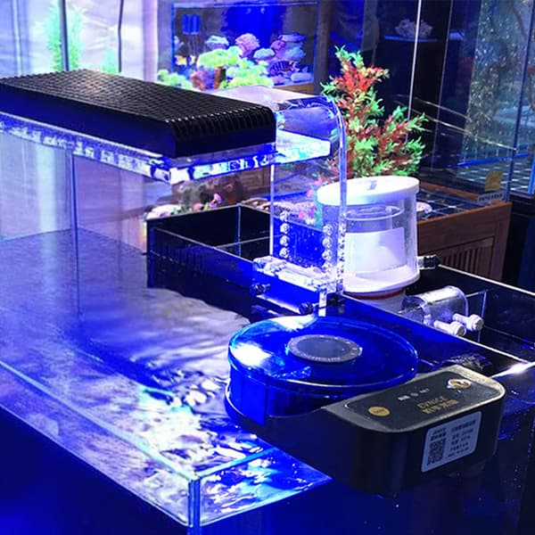 Automatisk fiskefoderautomat til akvarium - Foderdispenser - Timer, 50 g Beholder, Plast, Batteri Ikke Inkluderet - Sort