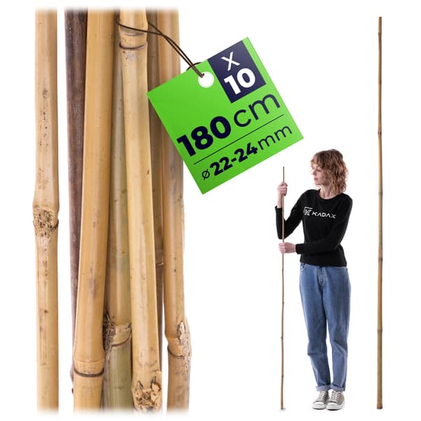 Bambupinnar - Växtstöd - Bambu - 180 cm - Ø 22–24 mm - 10-pack