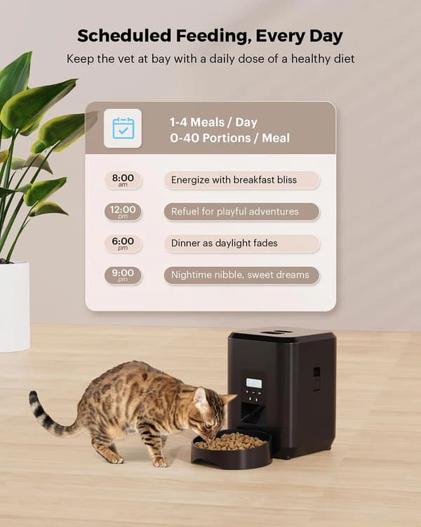Automatisk foderautomat til kat og hund - 2L tørfoderdispenser - Programmerbar timer - Knapstyring - LCD-display - 5V USB - Sort