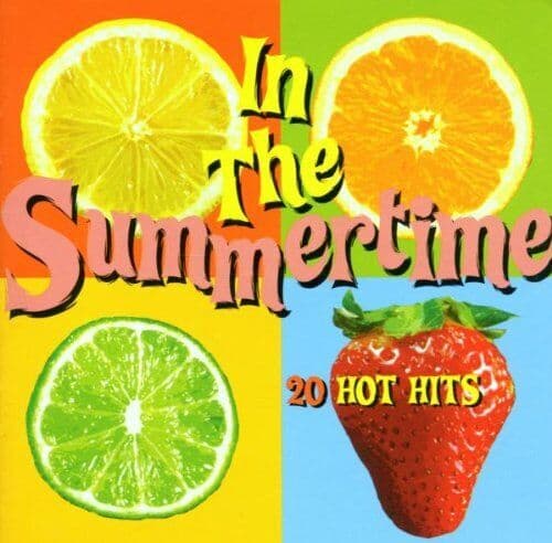 In The Summertime: 20 HOT HITS CD (2000) Pre-Owned
