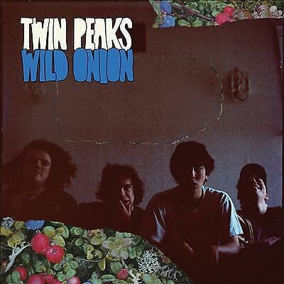 Twin Peaks : Wild Onion CD (2015) Pre-Owned