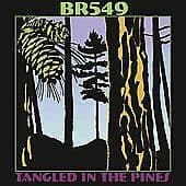 Tangled in the Pines CD (2004) Pre-Owned