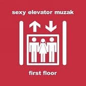 Various : Sexy Elevator Muzak CD Pre-Owned