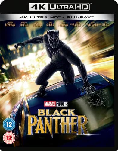 Black Panther (DVD, 2018)