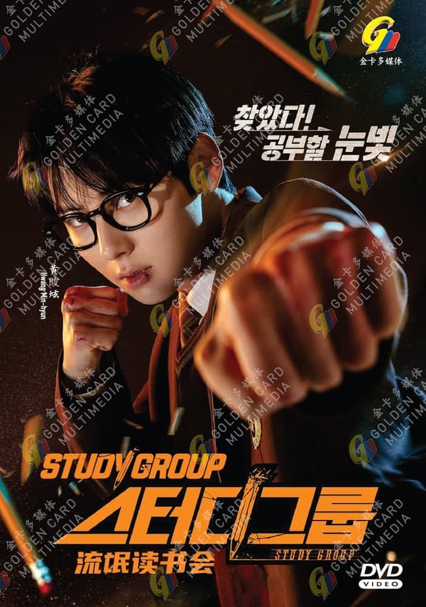 STUDY GROUP - COMPLETE KOREAN TV SERIES DVD BOX SET (1-10 EPS)