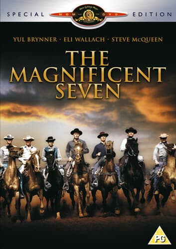 The Magnificent Seven - DVD (2001)