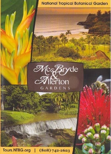 McBryde DVD