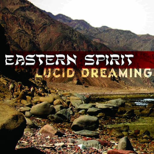 Various Artists : Eastern Spirit CD Pre-Owned