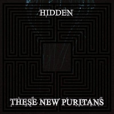 These New Puritans : Hidden CD (2010) Pre-Owned