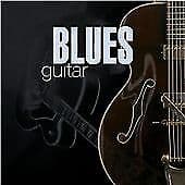 Various Artists : Blues Guitar CD Pre-Owned