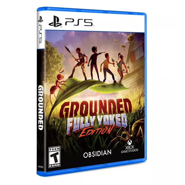 Why Grounded Matters: A Case Study in Cross-Platform Strategy