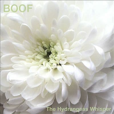 BOOF : The Hydrangeas Whisper CD (2015) Pre-Owned
