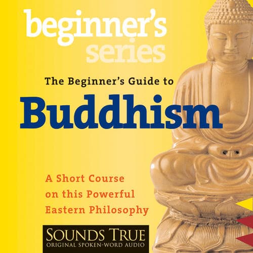 Jack Kornfield : The Beginners Guide to Buddhism CD Pre-Owned