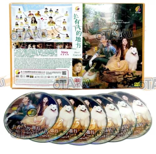MEET YOURSELF - Kinesisk TV-serie DVD Box Set (1-40 episoder)