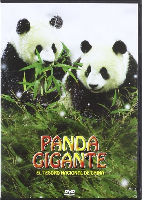 Panda Gigante (DVD)