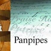 Praise Him On the Panpipes CD (2006) Pre-Owned