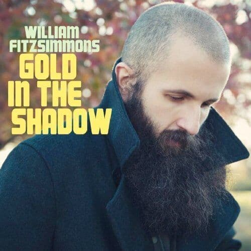 William Fitzsimmons : Gold in the Shadow CD (2011) Pre-Owned