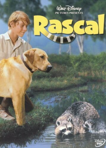 Rascal [Region 1] [US Import] [NTS DVD Pre-Owned Region 2