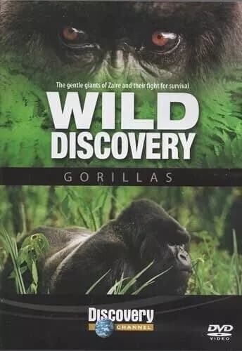 Gorillat - Wild Discovery DVD - Luontodokumentti