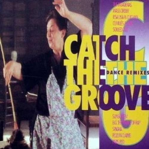 Various : Catch the Groove-Dance Remixes (1992) CD Pre-Owned