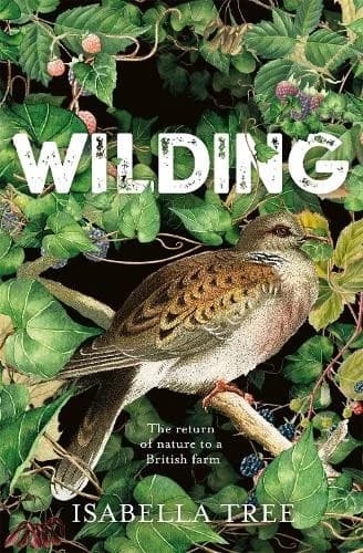 Isabella Tree Wilding (Hardback) Brand New
