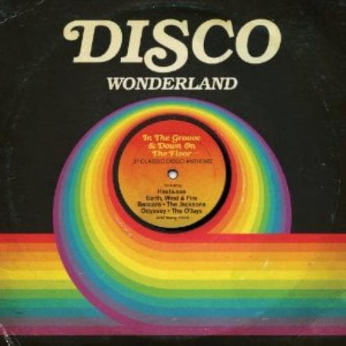 Various Artists : Disco Wonderland CD 2 discs (2013) Pre-Owned