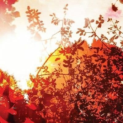 bvdub : All Is Forgiven CD