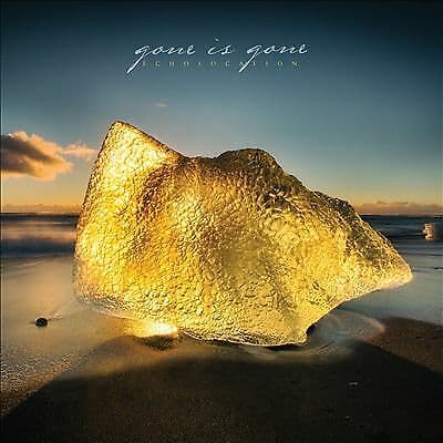 Gone is Gone : Echolocation CD (2017) Pre-Owned