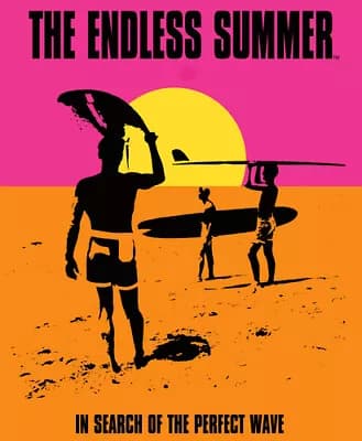 The Endless Summer DVD (2017) Bruce Brown cert E 2 discs Brand New