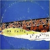 Psychedelic Horseshit : Magic Flowers Droned CD Pre-Owned