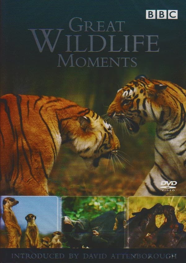 Great Wildlife Moments Introduced DVD